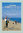 EDITORIALE OLIMPIA - LA GRANDE GUIDA DEL SURF CASTING