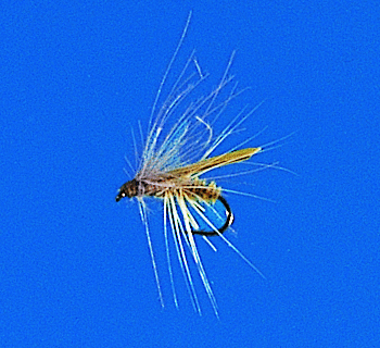 J. PARKER - STONE FLY YELLOW