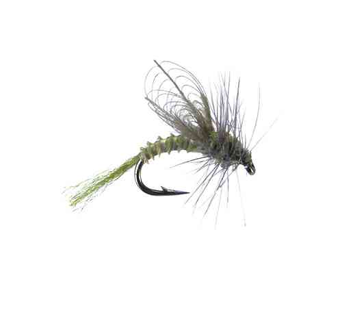 MONTANA FLY - CDC WINGED EMERGER - BWO [TSM-D309]