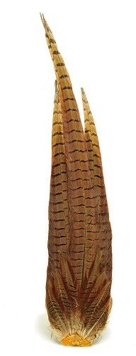VENIARD - COCK RINGNECK PHEASANT COMPLETE TAIL NATURAL - CPCMT - FAGIANO